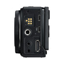 Sigma FP2 Body