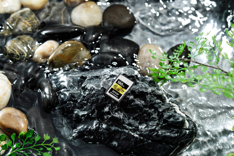 LEXAR CFEXPRESS PRO GOLD 320GB TYPE A