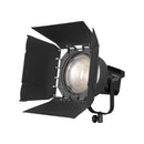 Nanlite Fresnel FL-20G Forza 500