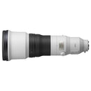 Sony FE 600mm F4 GM OSS