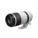Canon RF 100-500mm F4.5-7.1 L IS USM