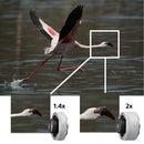 Sony FE 200-600mm F5.6-6.3 G