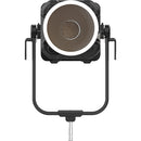 APUTURE STORM XT52 - DUAL FLIGHT CASE KIT