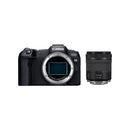 Canon EOS R8 + RF 24-105 F4-7.1