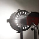 APUTURE LS 600D (V MOUNT)