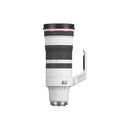 Canon RF 100-300mm F/2.8 L IS USM