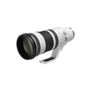 Canon RF 100-300mm F/2.8 L IS USM