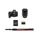 Canon EOS R6 III + 24-105mm F/4L