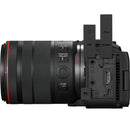 Canon EOS R6 V + RF 20-50MM
