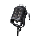 Nanlite Forza 300 II 5600K