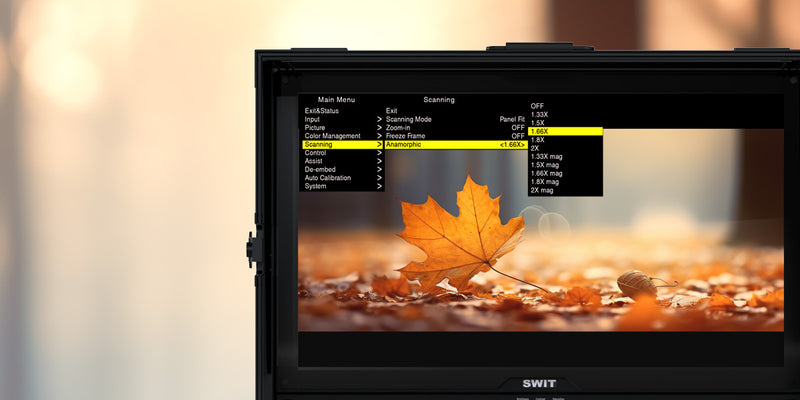 FM-U245HDR 24" HB UHD FIELD MONITOR W/FLIGHTCASE & VESA MOUNT