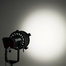 APUTURE LS 600D PRO (V MOUNT)