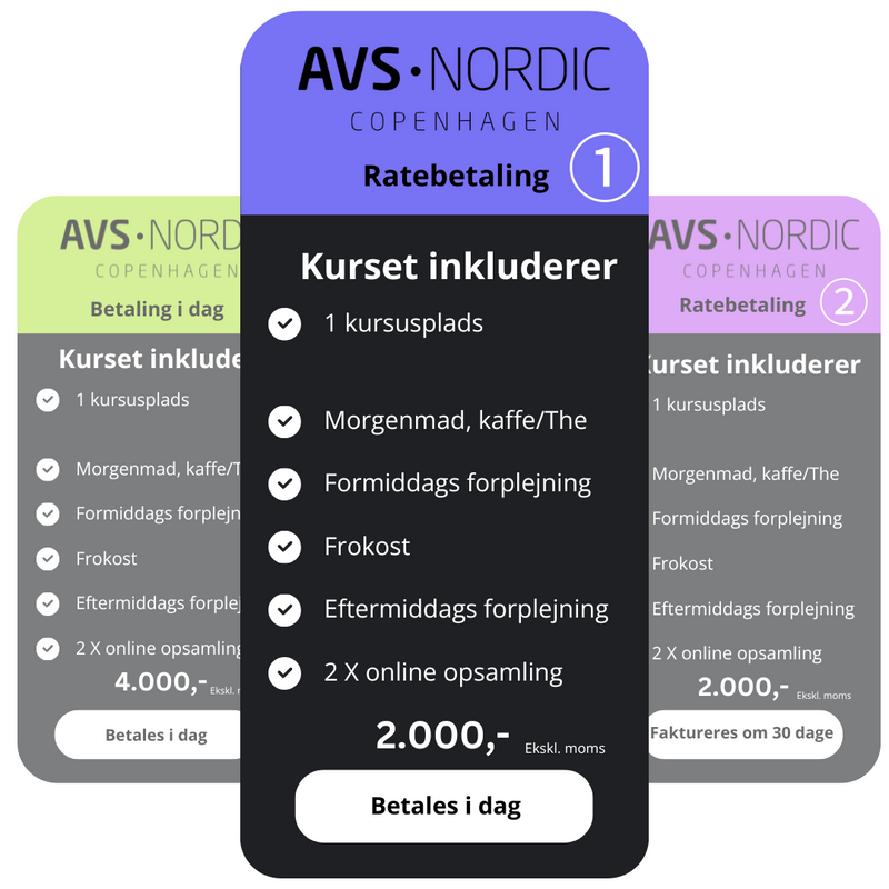 1 dags AI kursus, til videobranchen. København/Aarhus