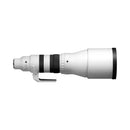 Sigma AF 300-600mm F4 S Sony FE DG OS