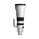 Sigma AF 300-600mm F4 S Sony FE DG OS
