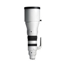Sigma AF 300-600mm F4 S Sony FE DG OS