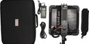 2 x SWIT S-2440 LED Lights w/ Softbag