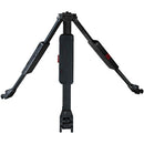 CARTONI FOCUS 10 SDS 2-ST CF SYSTEM (FOCUS 12 HEAD HF1000 + 1 PAN BAR + ENG SMART STOP 2-ST CF TRIPOD T728/2C + SMART LOCK MID-LEVEL SPREADER S731/SL + RUBBER FEET AT877 + SOFT BAG C928/2)