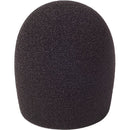 RYCOTE 40/55 FOAM REPORTER WINDSHIELD