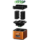 HÄHNEL PROCUBE 2 TWIN CHARGER SONY