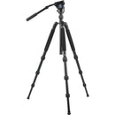 SIRUI VIDEOKIT R-2004 & VH-10