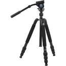 SIRUI VIDEOKIT R-2004 & VH-10