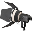 NANLITE FL-20G FRESNEL FOR FORZA 300/500
