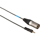Sennheiser CL 100 XLR Male - Minijack Adapter