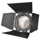 NANLITE FL-20G FRESNEL FOR FORZA 300/500